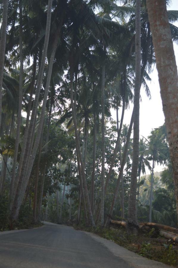 Nyuh Gading Bungalow Nusa Penida Sakti Luaran gambar